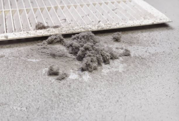 Best Affordable Duct Cleaning Services  in Belwood, NC